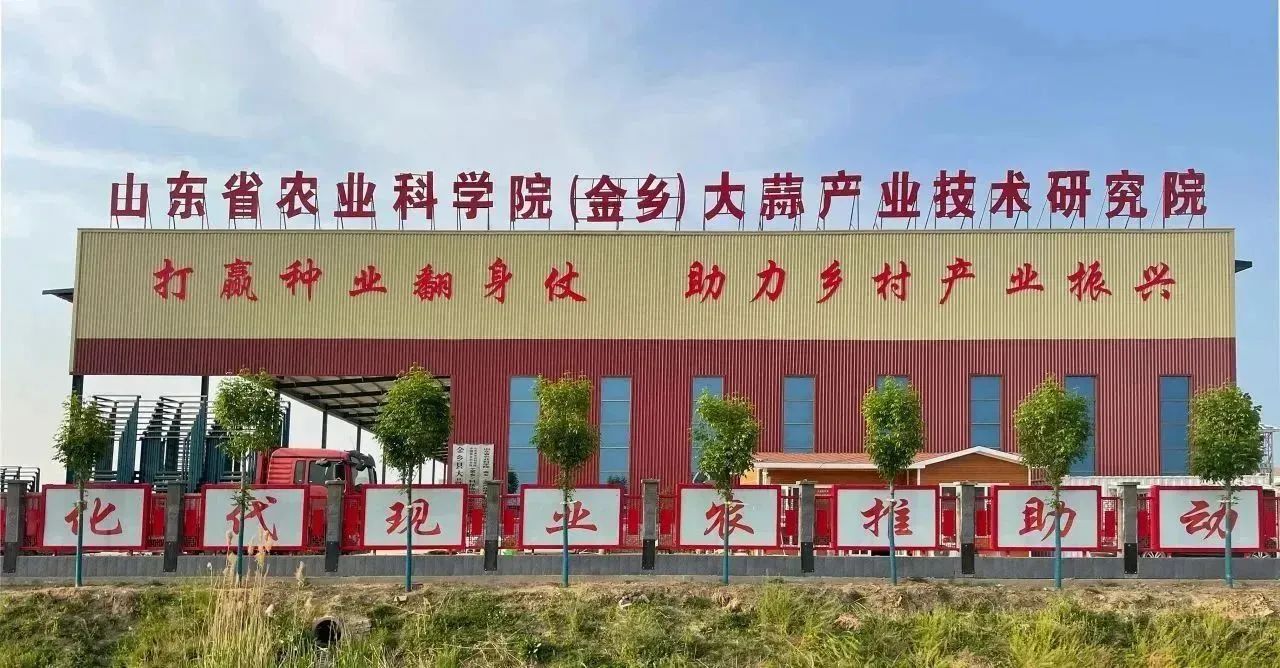 新老結(jié)對(duì)傳幫帶，凝心聚力譜新篇