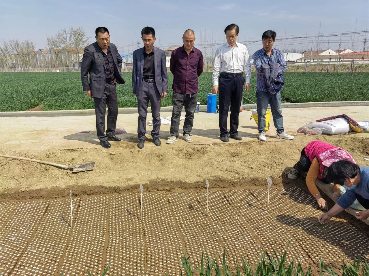 金春雨科技與市質(zhì)檢院攜手推進(jìn)黃河流域棉花試點(diǎn)項(xiàng)目工作